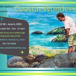 Mardilan Georgio - Coastal Wonders Gallery Show