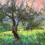 Gregory Barnes - Studio and Plein air Pastel - Edwards CO