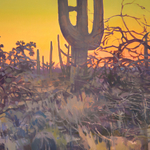Jill Carver - The Wild Southwest - Forces and Forms