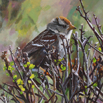 Marilyn Wear - 17th Annual "Less is More' juried art show