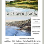 Lucinda Johnson - Wide Open Spaces, Elk Grove Fine Arts Center