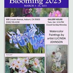 Lucinda Johnson - 4th Annual Blooming 2023