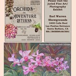 Lucinda Johnson - 75th Annual Santa Barbara International Orchid Show