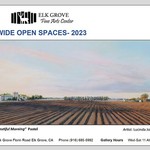 Lucinda Johnson - Elk Grove Fine Arts Center "Wide Open Spaces"