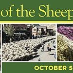 Lori Wallin - Trailing of the Sheep Folk Folklife Fair