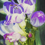 Jane Fritz - Illinois Watercolor Society's 39th National Exhibition