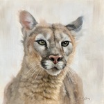 Molly Sims - Wild Tales and Natural Wonders Featured Artist Show