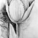 stacey almgren - SIP & SKETCH! May 3rd 6-8:00