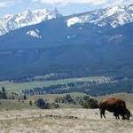 Michele Usibelli - Triple Creek Ranch Artist in Residence