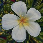 Caroline Zimmermann - Art of Aloha - Maui