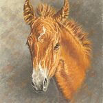 Sherry Cobb-Kelleher - America's Horse In Art Show and Sale