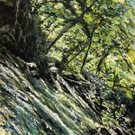 Janet Johnson - Northwest Pastel Society 35th Annual Juried Exhibition