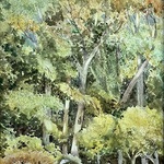 Kathy Rennell Forbes - Plein Air in Watercolor