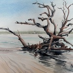 Kathy Rennell Forbes - Plein Air Watercolor Workshop on Saint Simons and Jekyll Islands