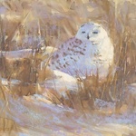 Lisa Regopoulos - Painting Birds in Pastel