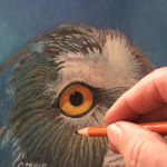Linda Harrison-Parsons - ART UNLIMITED: Tips & Tricks in Pastel and Mixed Medium