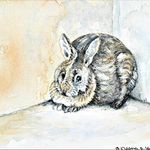 Deena Harkins - Zoom 6 Hour Beginner-Intermediate Watercolor Workshop (Cancelled)