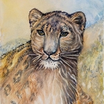 Deena Harkins - February 2024, Zoom Watercolor Wildlife Workshop (Closed)