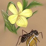 Gary Raham - Bug and Bloom Liaisons