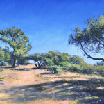 Neil Andersson - Art from the Trail: Exploring the Natural Beauty of Santa Barbara County