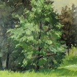 Robin Popp - Painting Trees with Confidence