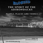 BluSeed Studios - The Spirit of the Adirondacks: People, Places & Things