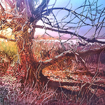 Leslie Lambert - The Association of Nebraska Art Clubs Pouring Liquid Color Watercolor Workshop