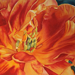 Leslie Lambert - Big, Bold, and Beautiful Watercolor Florals