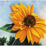Wendy Layne - Introduction to PanPastels - Sunny Days