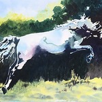 Cheri Isgreen - The Horse in Art