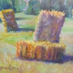 Mary Broccolo-Derr - Northern Indiana Artists Members Show