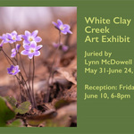 Kathy Ruck - White Clay Creek Exhibit