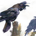 Doris Ettlinger - Crows, Rooks and Ravens