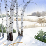 Doris Ettlinger - Winter is a Birch (Sunlight)