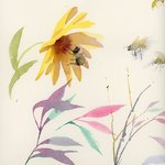 Doris Ettlinger - Bugs & Flowers