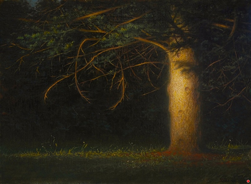 Ken Salaz, Sunlit Tree