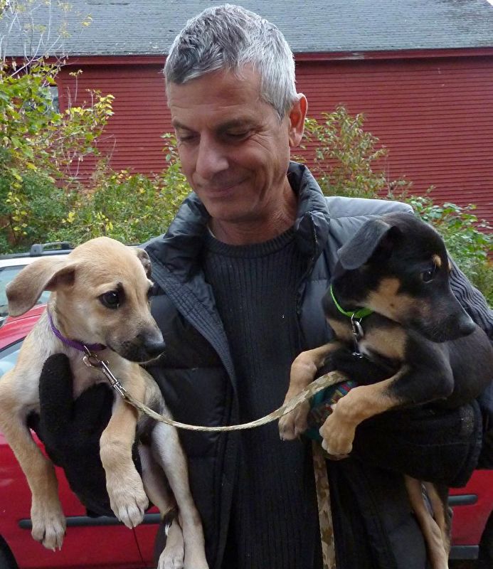 Fostering more puppies from a rescue org in the Turks and Caicos brought us years of joy and laughter. Okay, also a lot of puppy pee....