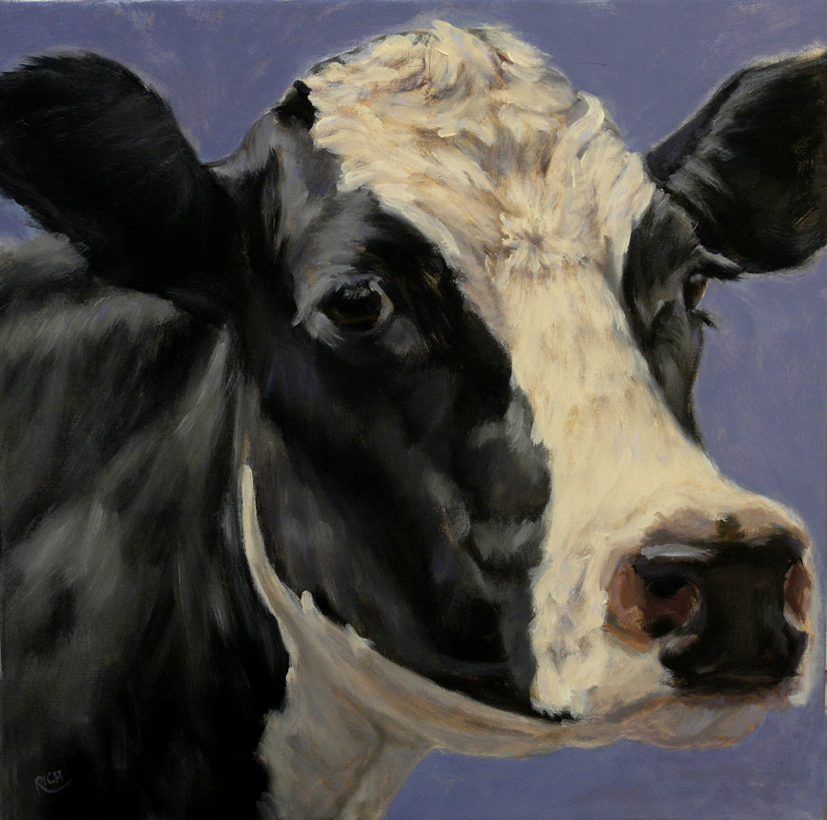 Denise Rich - Work Zoom: Happy Cow Head